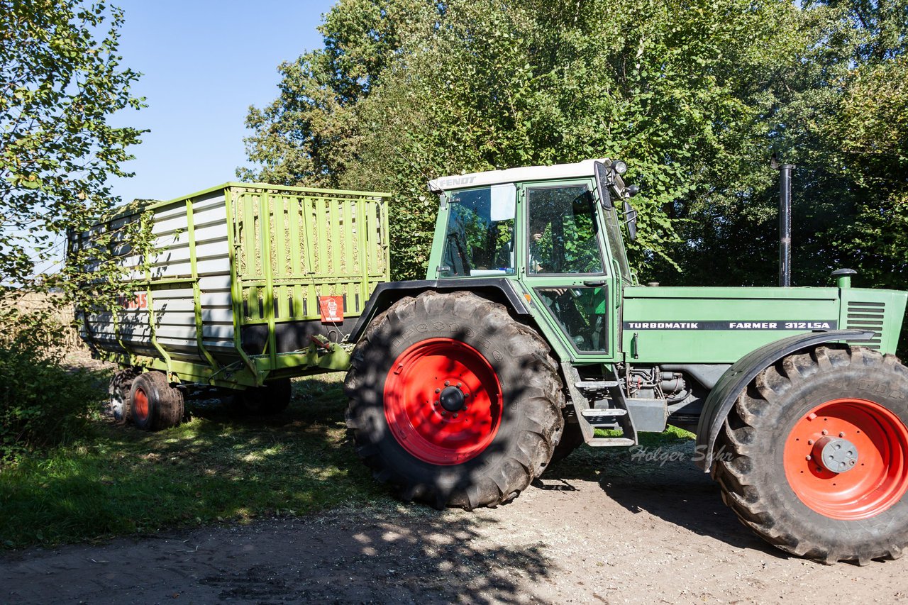 Bild 42 - Maisernte